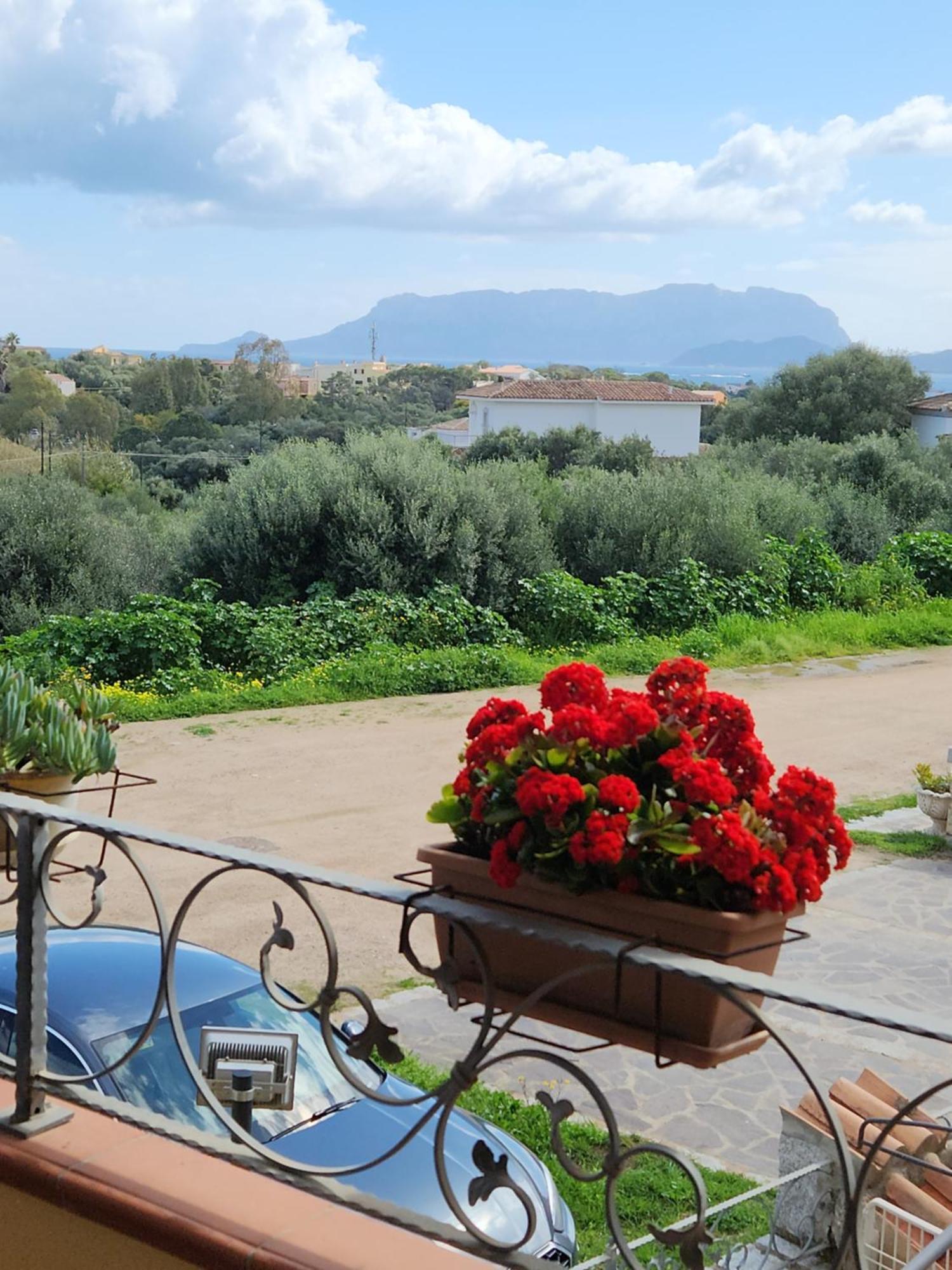 Casa Corallo Pittulongu Olbia